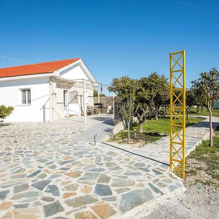 Faliraki Citrus Garden Eksteriør billede