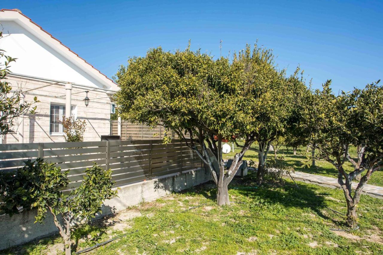 Faliraki Citrus Garden Eksteriør billede
